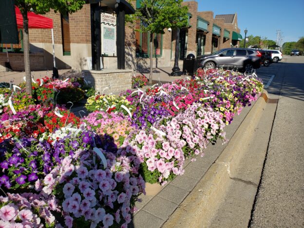 Downtown Crystal Lake spring flower sale