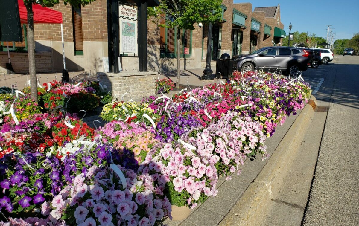 Downtown Crystal Lake spring flower sale
