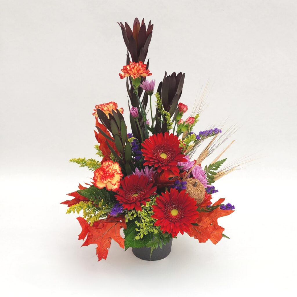 Amanda 2 1 1024x1024