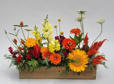 cutting garden showcase 1