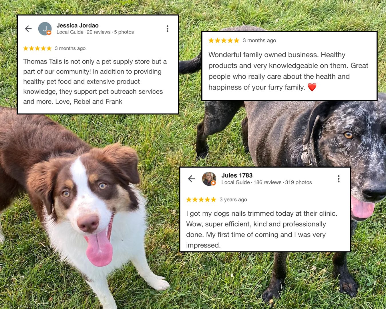 Reviews of Thomas' Tails