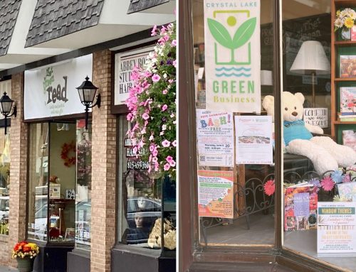 Get to Know: The Green Read